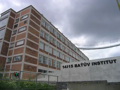 Batuv institut