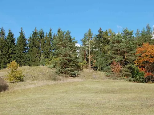 Přírodní památka Příšovská homolka na Plzeňsku 