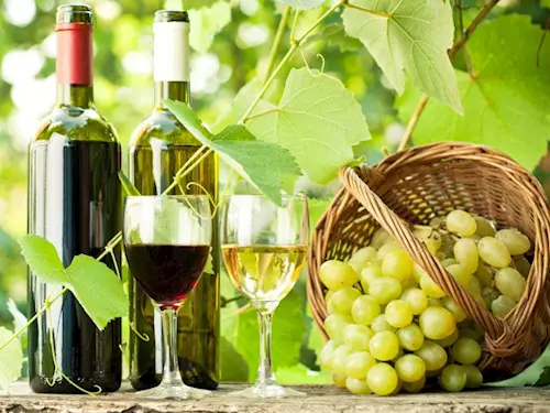 Penzion Onyx Lednice – vinařská turistika na jihu Moravy