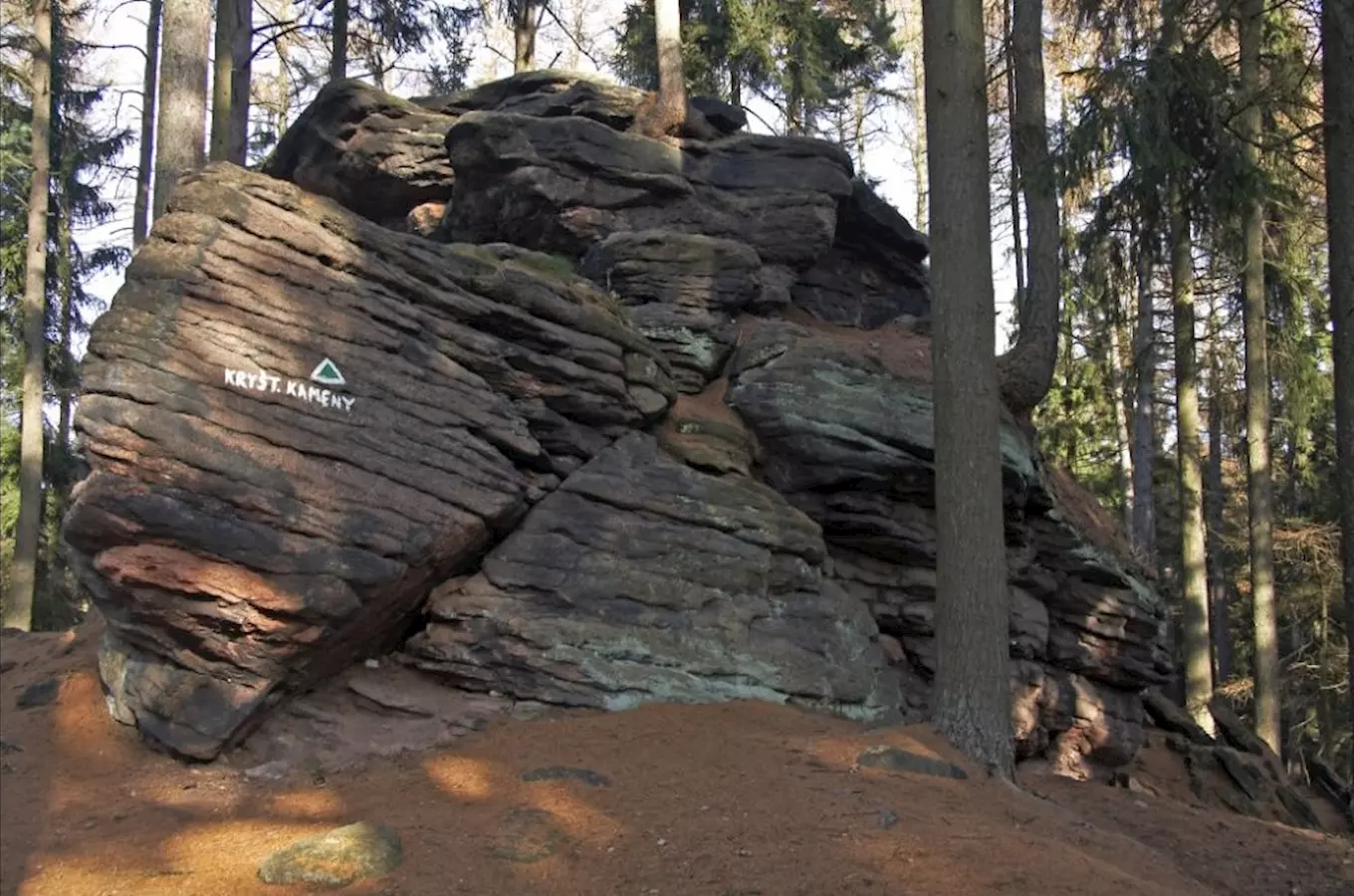 Kryštofovy kameny u Odolova – zkamenělé stromy v Jestřebích horách