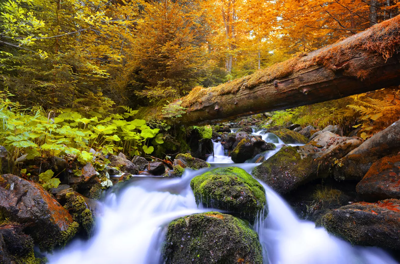 Neobjevené skvosty: 10 tipů z turistické oblasti Šumava