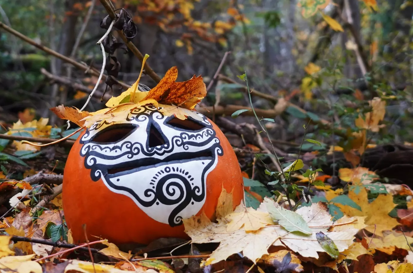 Trojskou botanickou zahradu rozzáří halloweenská světla