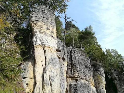 Přírodní památka Špičák u Střezivojic