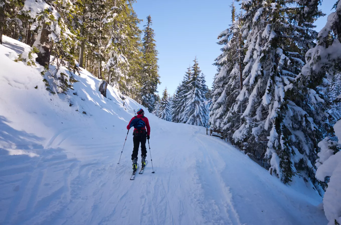 Půjčovna SkiResort Live