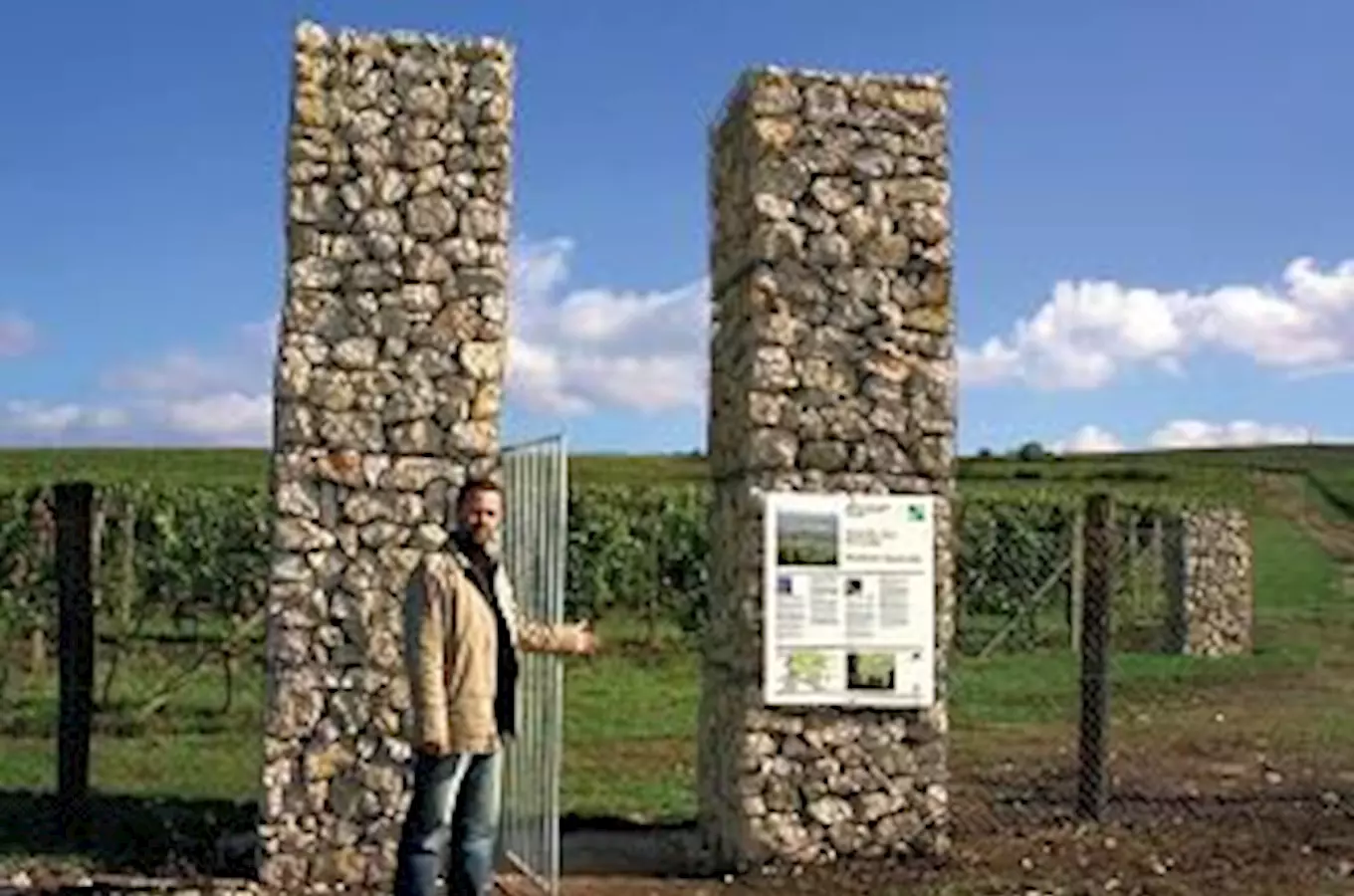 Vinařství Víno Marcinčák – objevte s námi kouzlo spojení vína a kulinářského umění