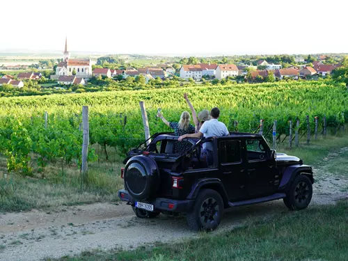Off-road projížďky po vinicích na Znojemsku