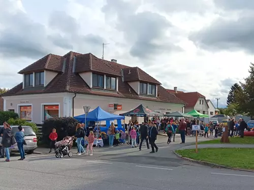 Ročník 2024