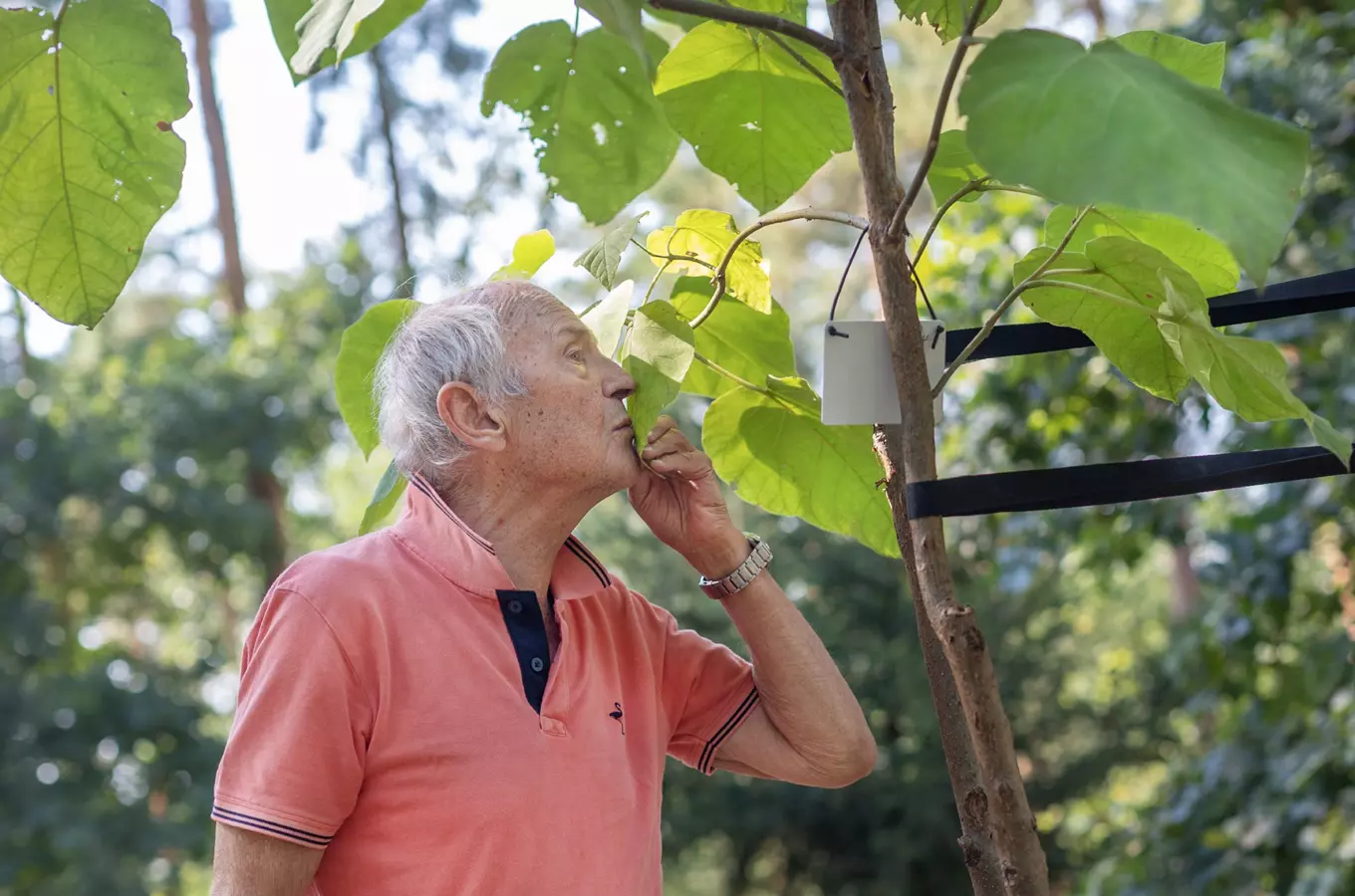 Unikátní projekt Botanické zahrady hl. m. Prahy Kořeny osobností žije i v roce 2021