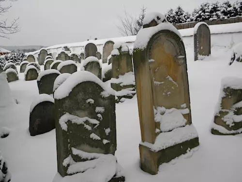 Židovský hrbitov v zime