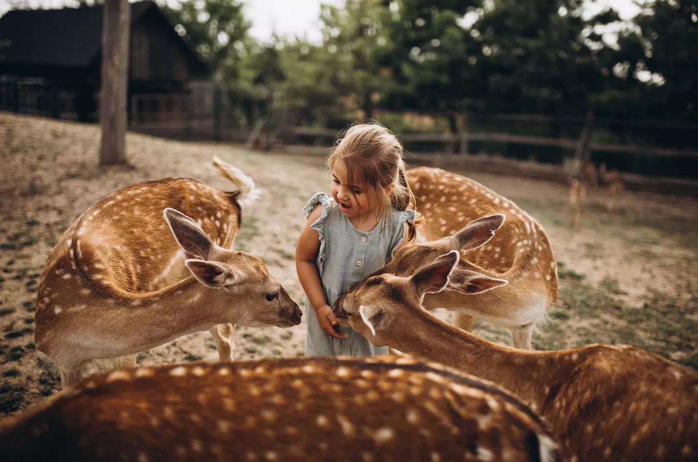 Zoo Chleby – první zoologická zahrada ve Středočeském kraji