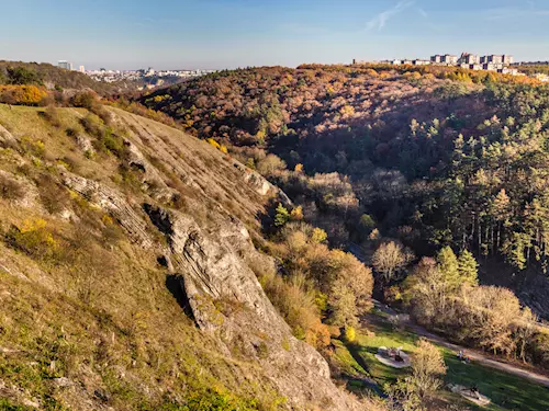 Přírodní rezervace Prokopské údolí – přírodní klenot Prahy