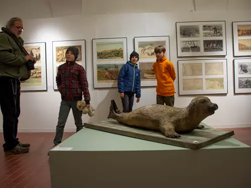 tuleň z výstavy