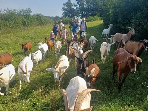 Kozí pochod 2024 svislá a