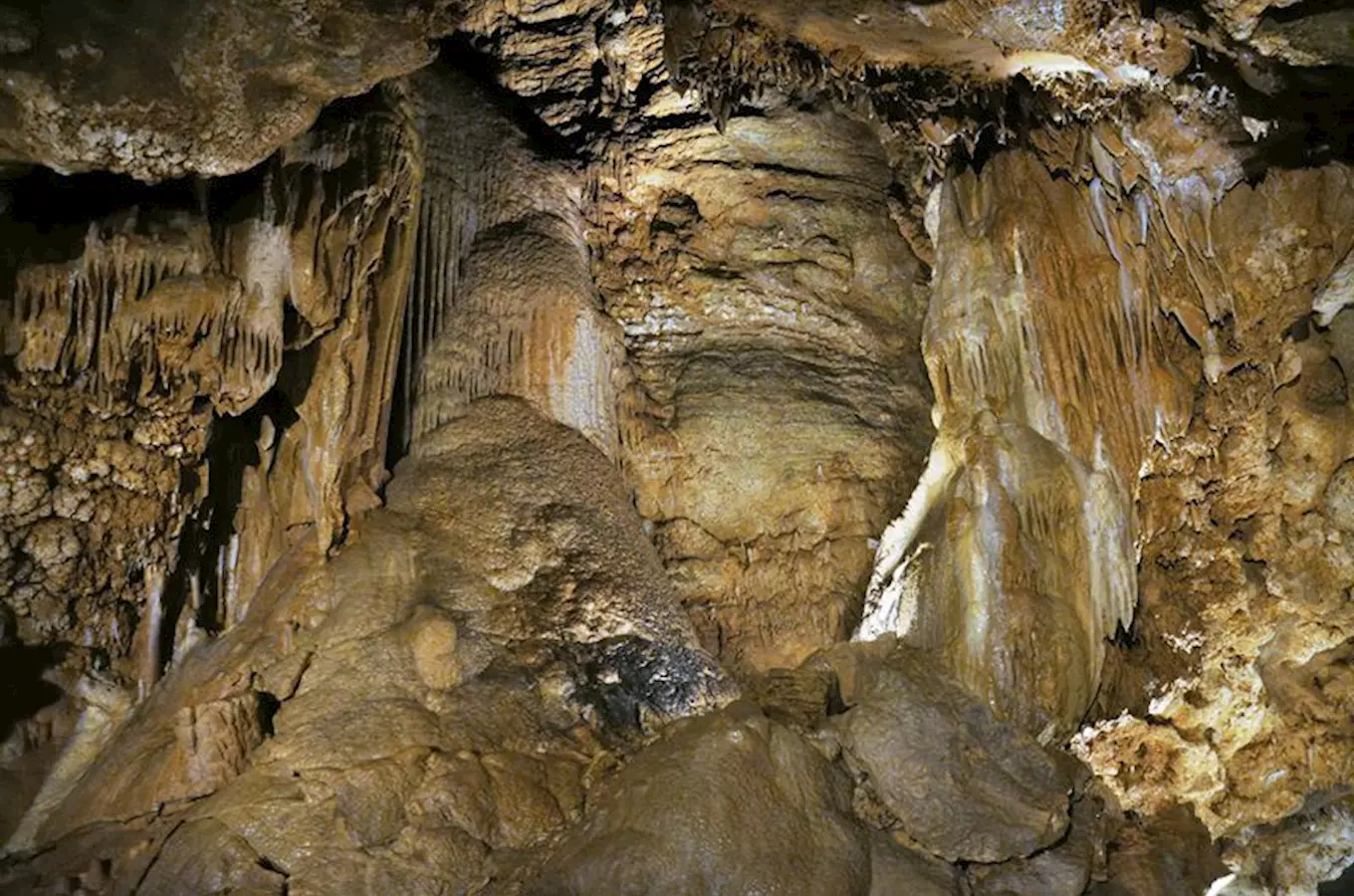 Baterkové pondělky v Koněpruských jeskyních - duben