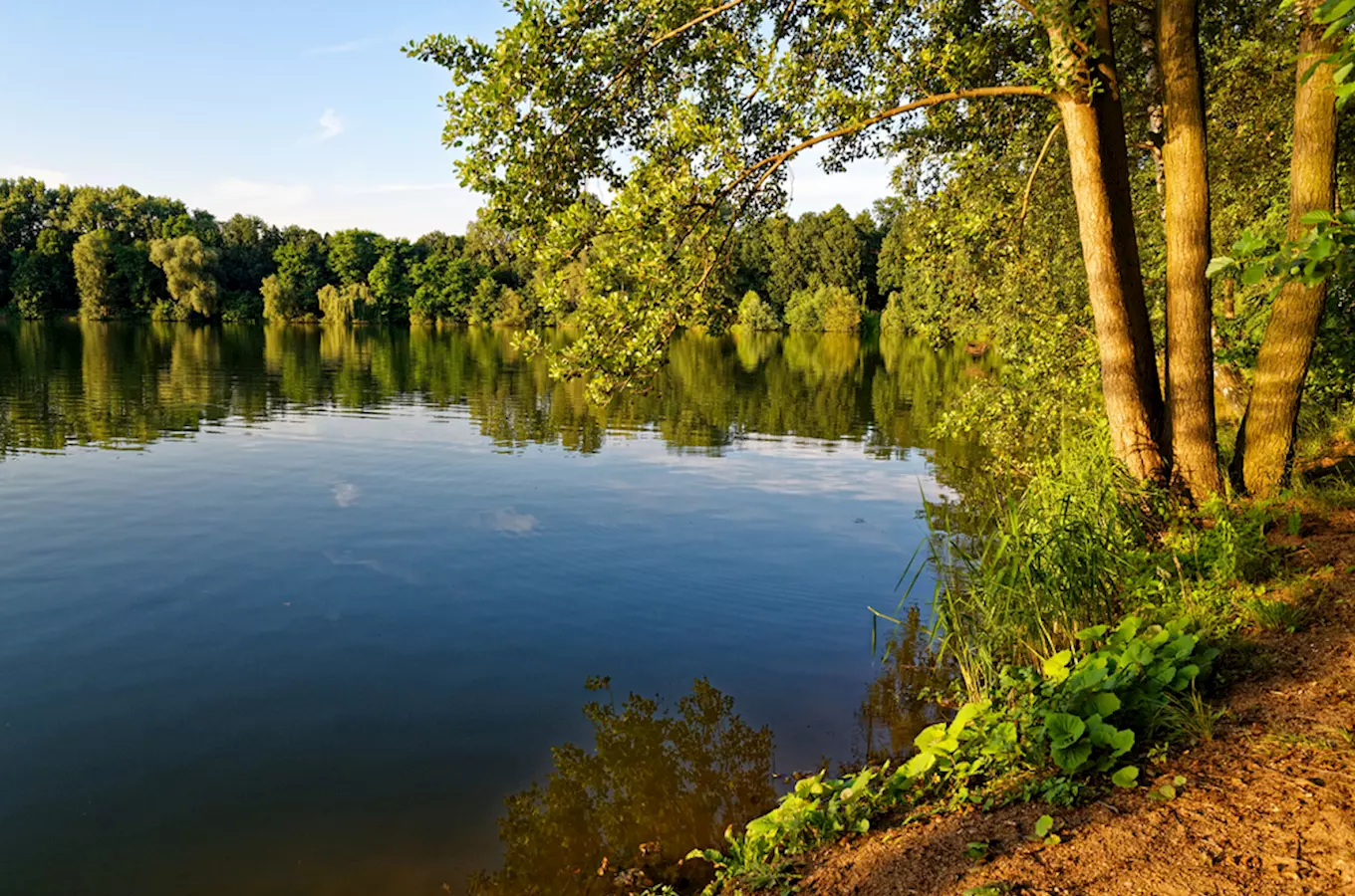 Pískovna Sadská