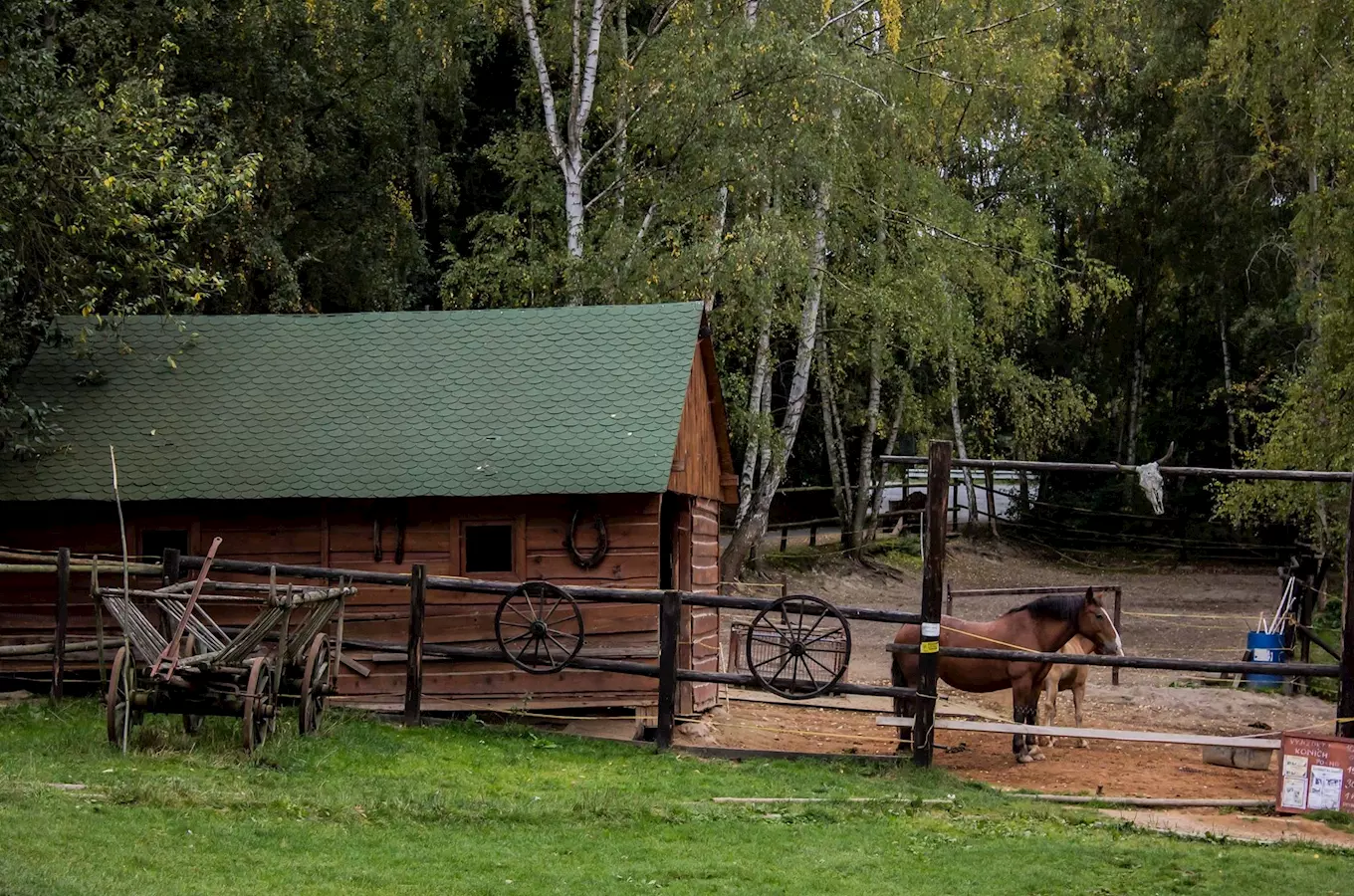 Ranč Šídlovák – vyjížďky na koních v Plzni