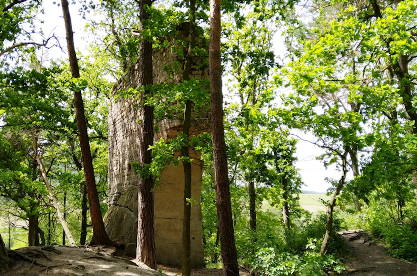 Zřícenina hradu Vítkovec u Milčanského rybníka