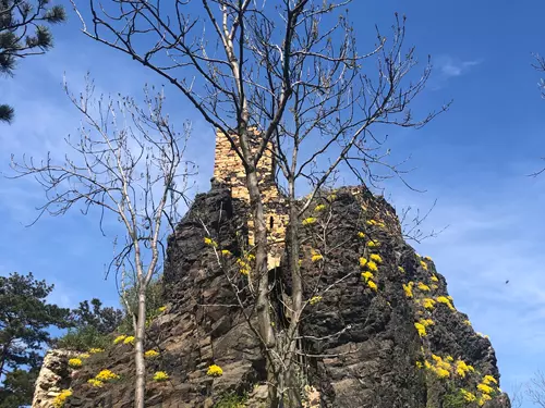 Zřícenina hradu Kamýk u Litoměřic