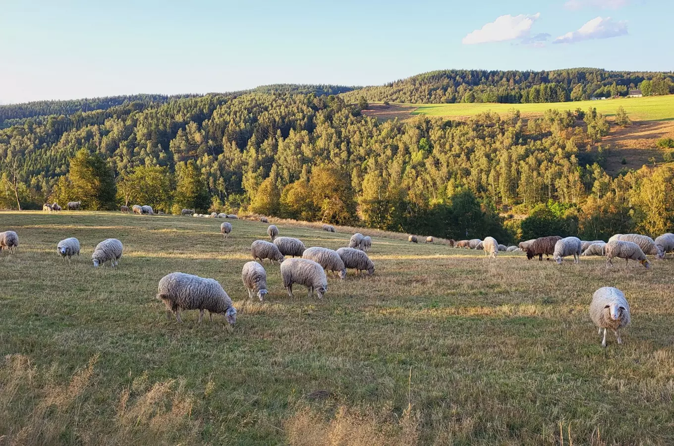 Zdroj foto: mapy.cz, autor Lucie Londa