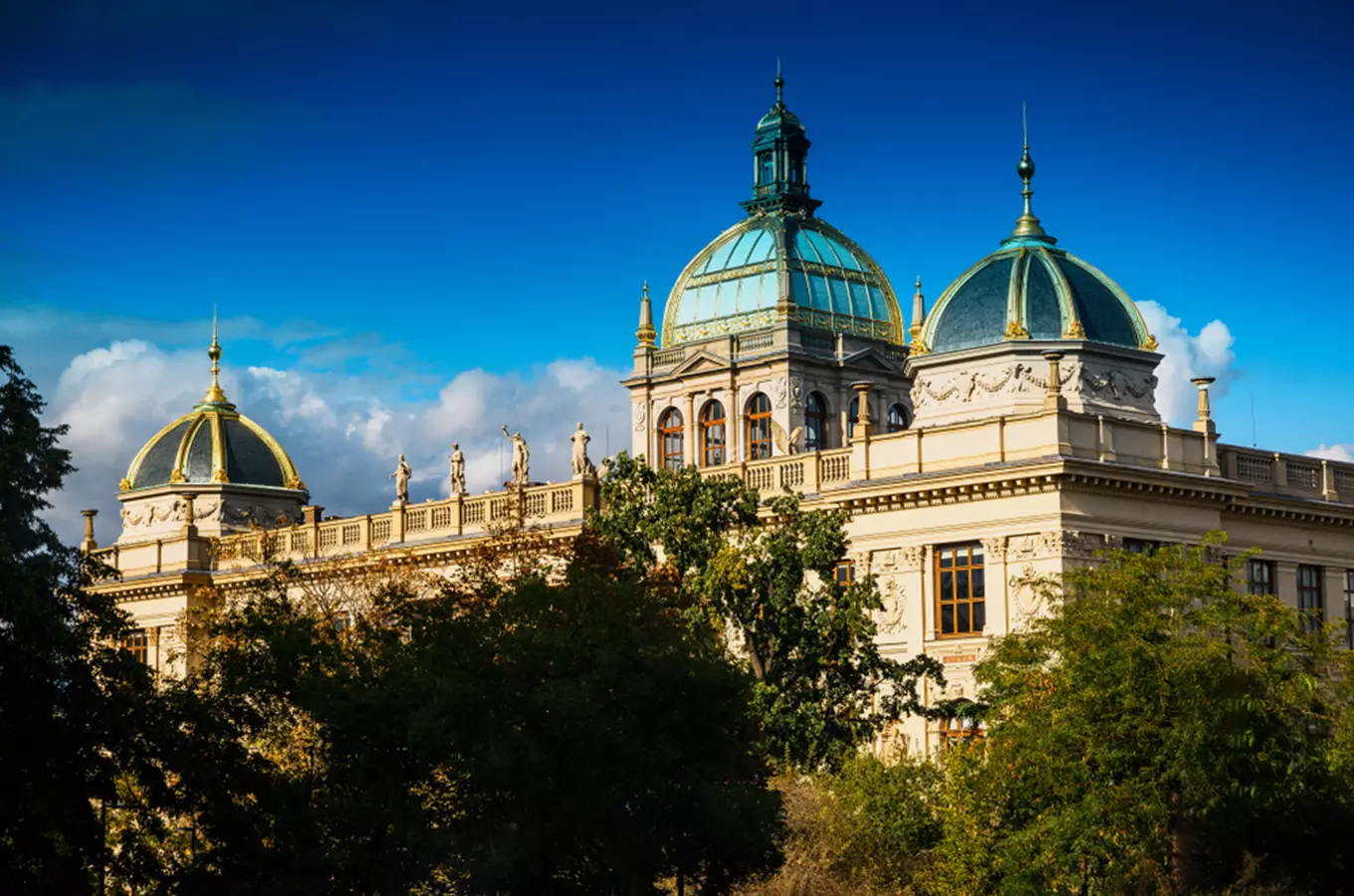 Národní muzeum má otevřeno - prohlédněte si zajímavé výstavy a expozice