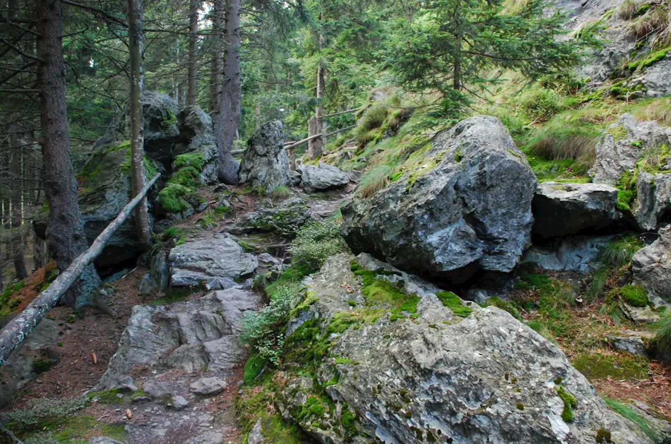 Rolandův kámen – výhled na panorama Jeseníků