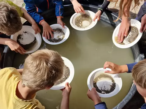 Den s geologem – Fascinující minerály ve dvoře Muzea Českého krasu v Berouně