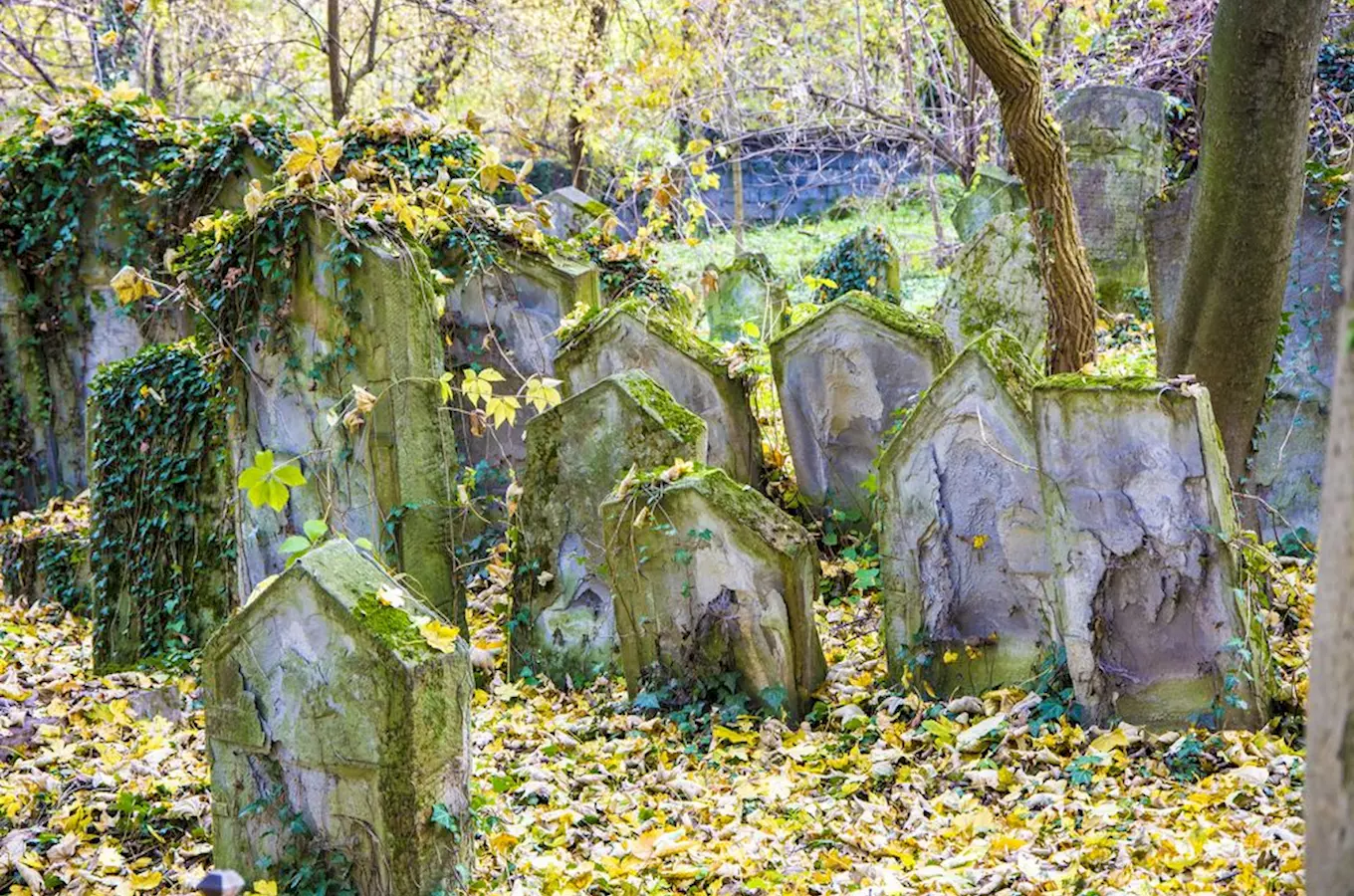 Starý židovský hřbitov na pražském Smíchově