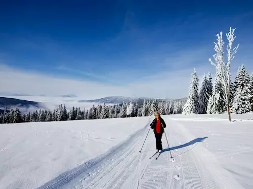 Krušnohorská magistrála