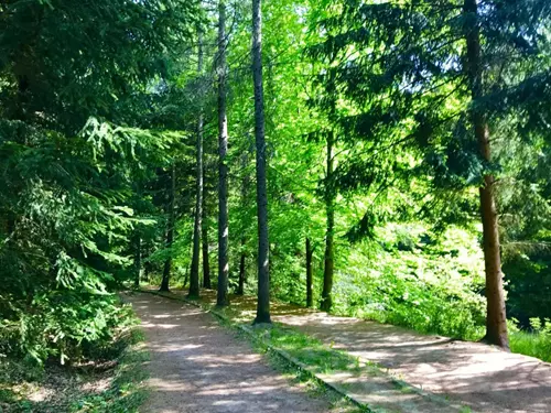 Přírodní sportovní areál Srnčí důl v Jablonci nad Nisou