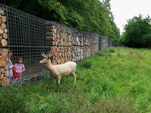 Zookoutek Divoká zahrada Hostivař