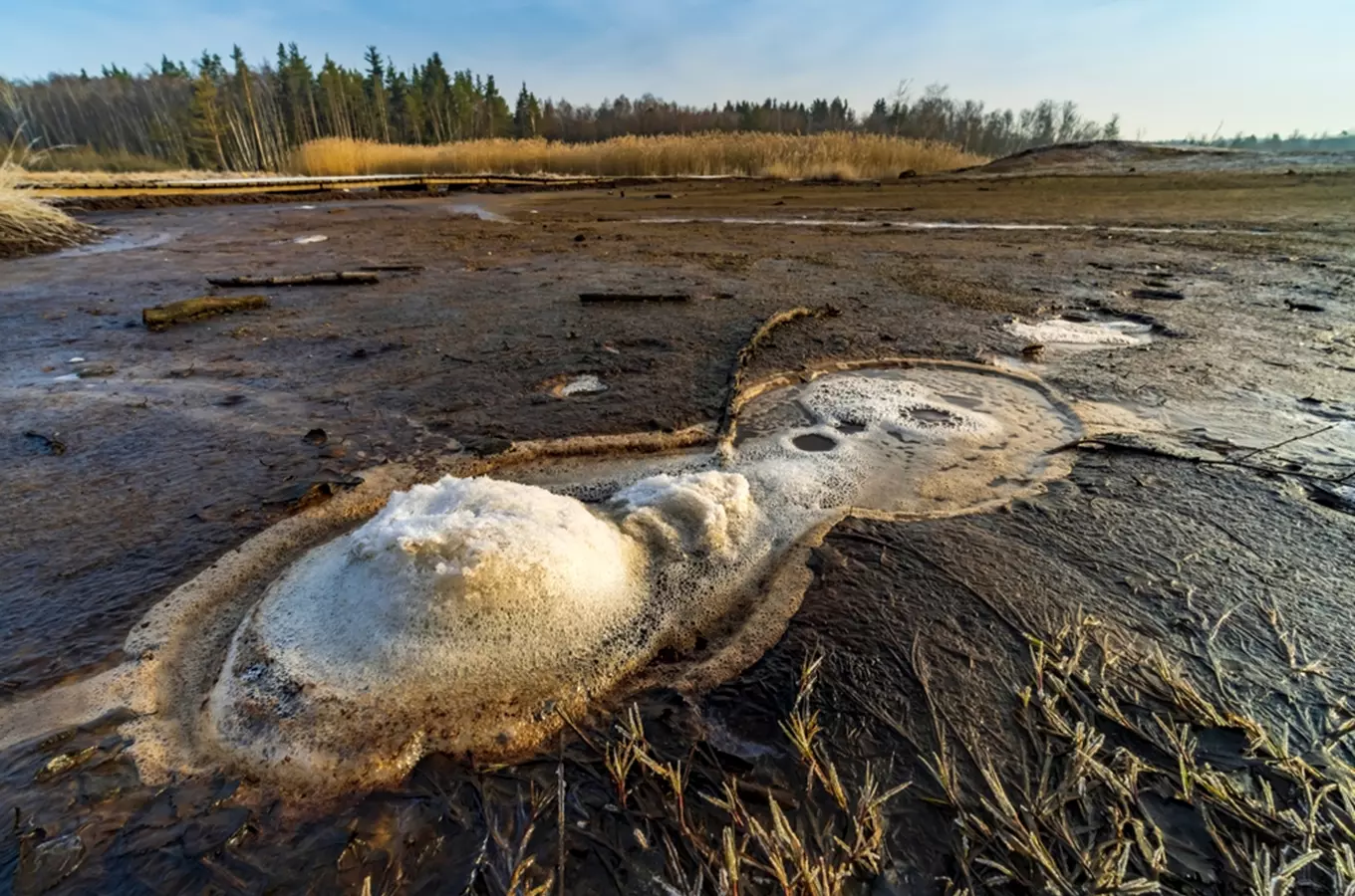 Národní přírodní rezervace Soos – český Yellowstone nedaleko Františkových Lázní