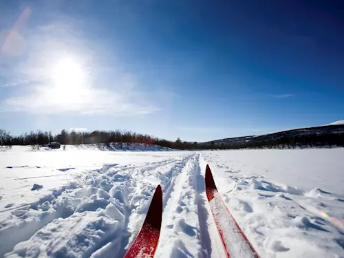 Jizerská 50 je lyžarský bežecký závod, který patrí k nejoblíbenejším bežkarským trasám v Ceské republice