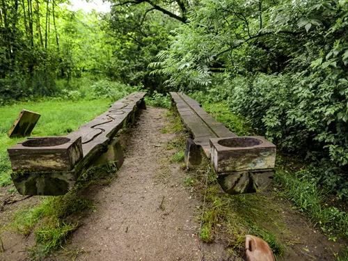 Kouzelný les zvuků