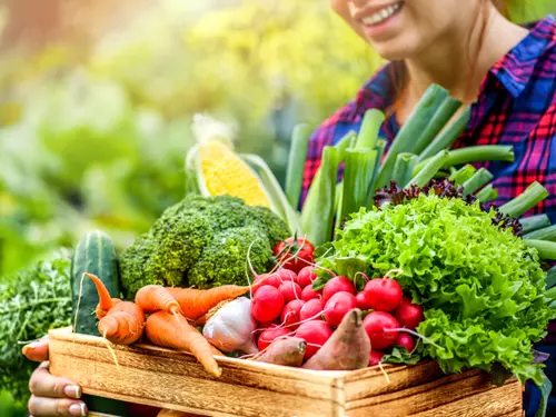Holešovické trhy – zeleninový a farmářský trh