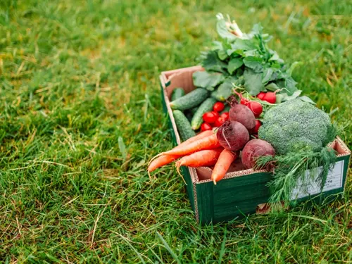 Bio, Kudy z nudy, farmářské produkty