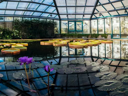 Botanická zahrada v Liberci – nejstarší botanická zahrada v České republice