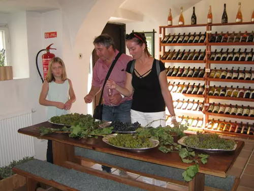 Muzejní vinobraní ve Valticích