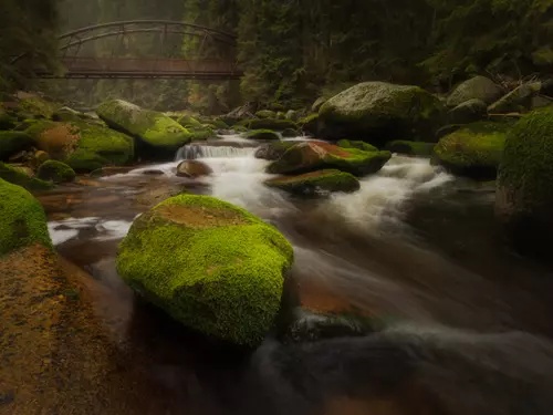 Bavorský les - Šumava
