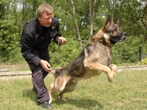 Klub Tvořílků – Ukázka práce policejních psů