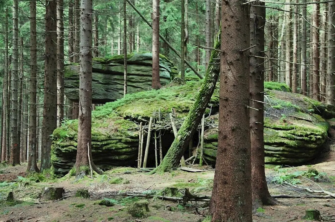 Vrch Šelmberk s žulovými balvany v Českém lese 