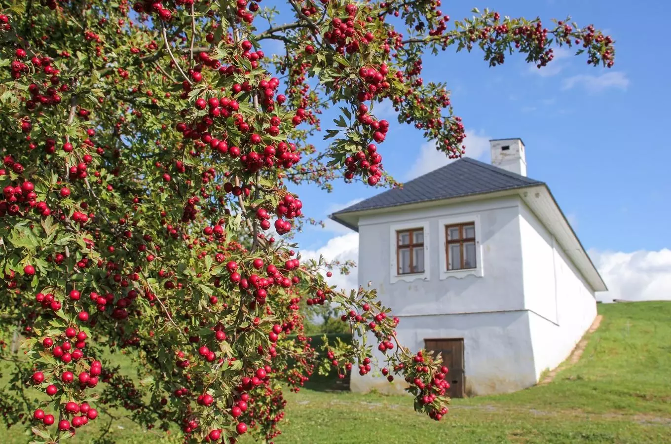 10 tipů, jak si užít volný čas s dětmi ve Zlínském kraji