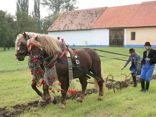 Tipy proti nudě... aneb nejlepší tipy na víkendové akce pro děti