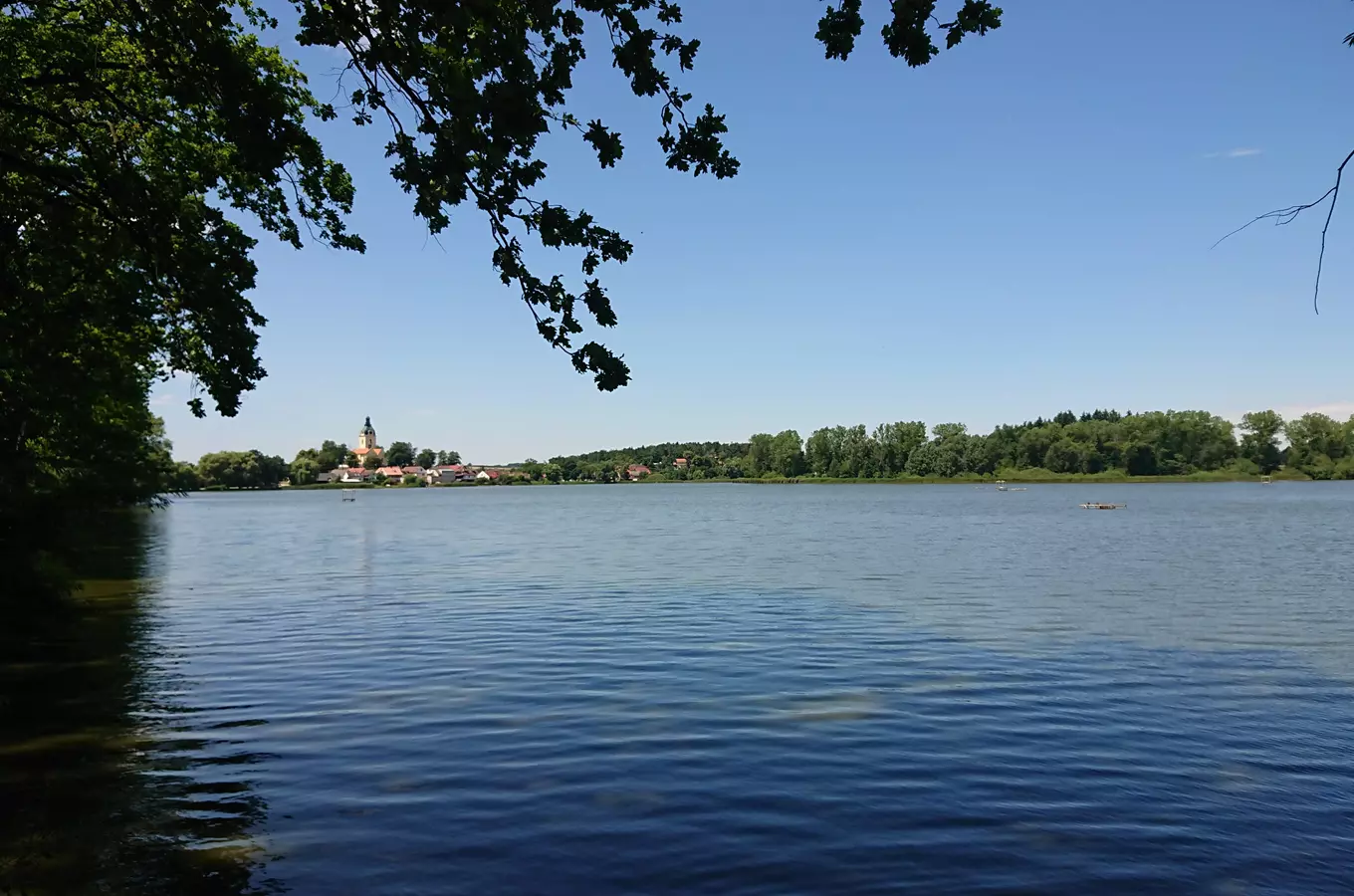 Na koloběžce z Třeboně okolo rybníka Rožmberk