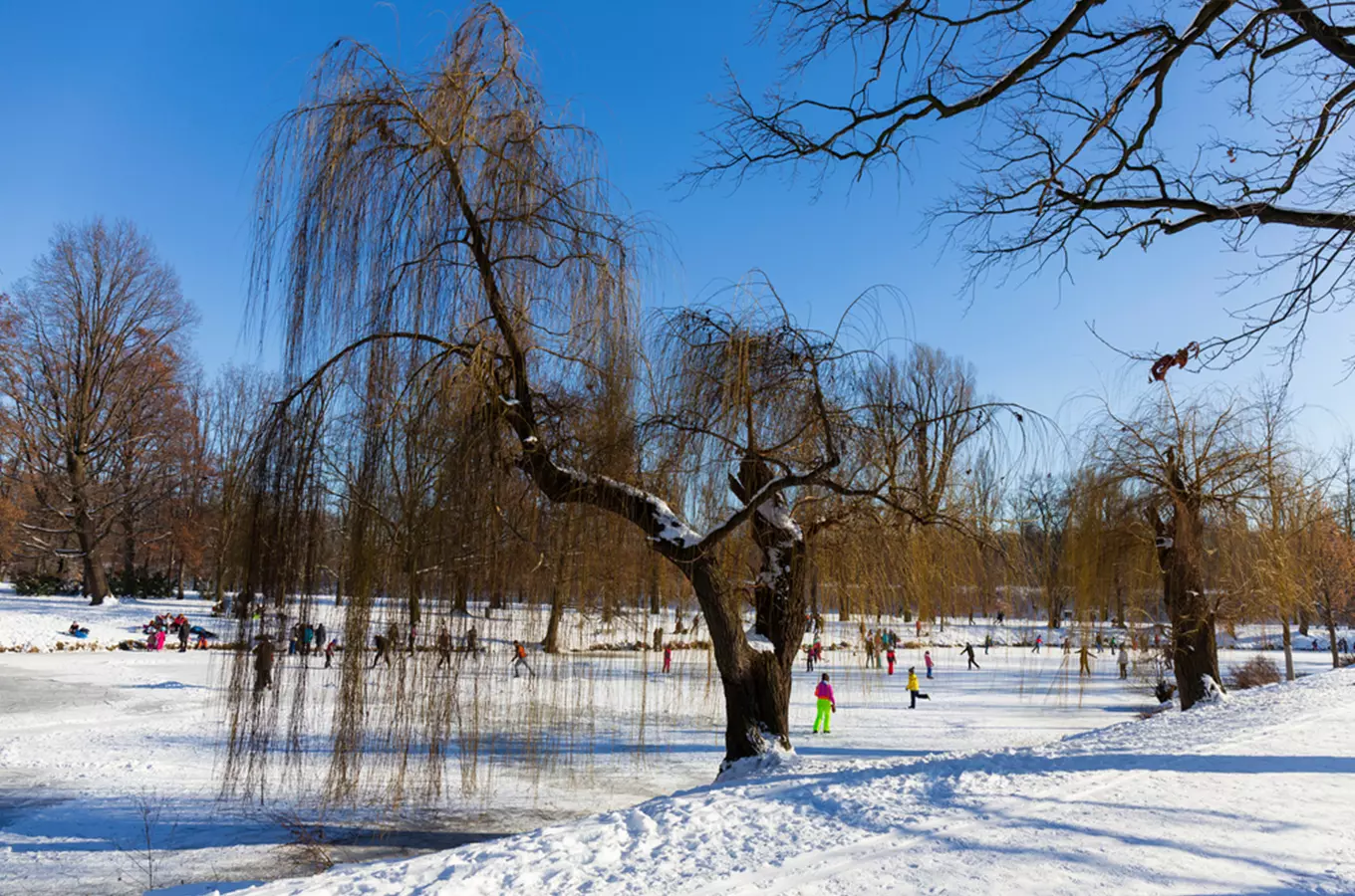 Park Stromovka v Praze – Královská obora mezi Holešovicemi a Dejvicemi