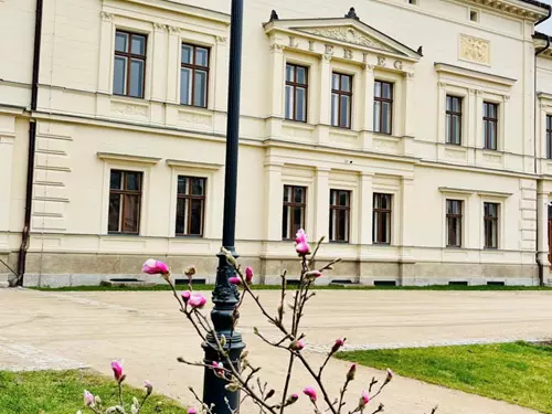 Komentované prohlídky v Paláci Liebieg