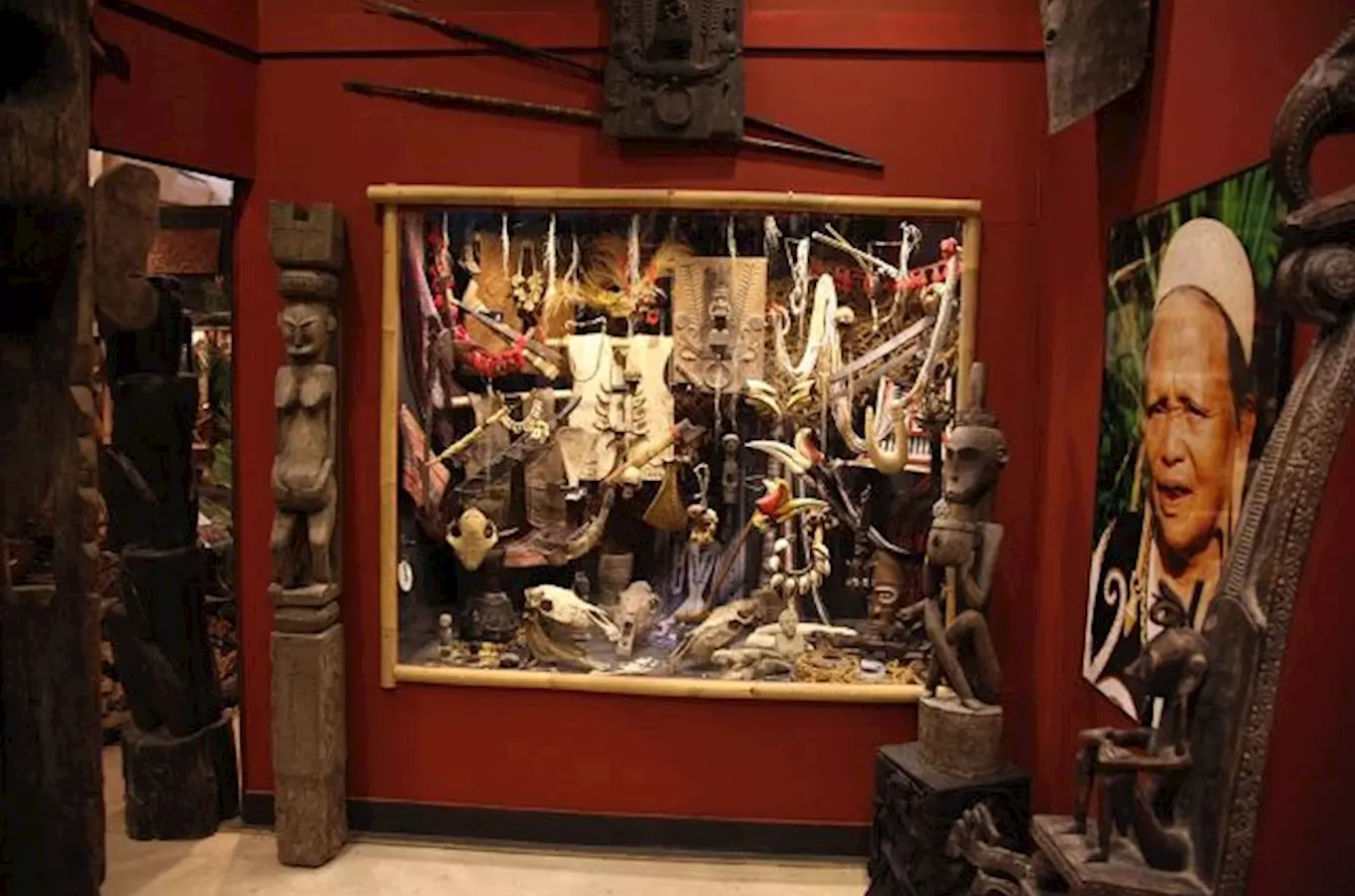 Jihočeské muzeum v Českých Budějovicích zve zvou do světa exotiky – světa, o kterém jste si mysleli,