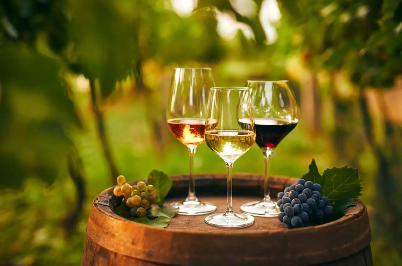 Letní slavnost drnholeckých vín