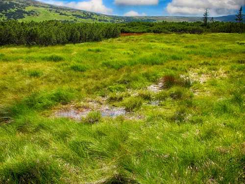 Krkonošský národní park, Kudy z nudy, KRNAP, národní park Krkonoše