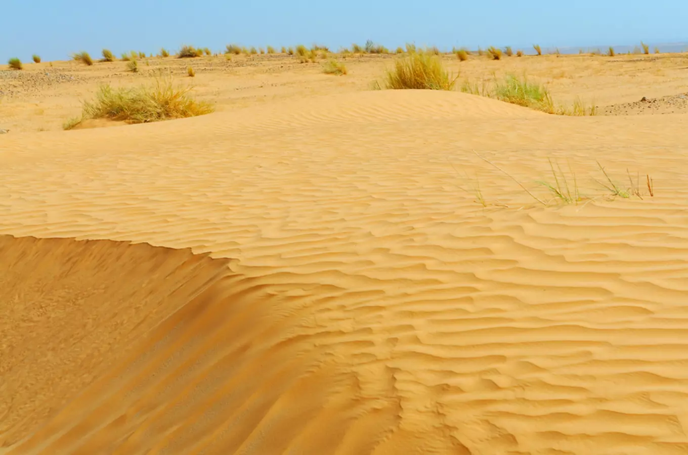 #světovéČesko a Sahara: brouzdejte se pískem českou a moravskou Saharou