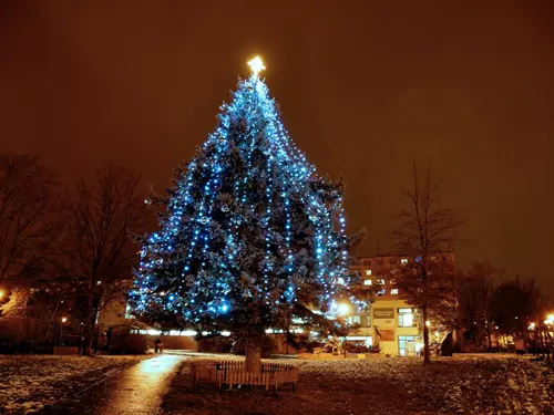 Rozsvícení vánočního stromu na Lochotíně
